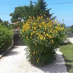 Bauernhof Vintage Caravan Sintra