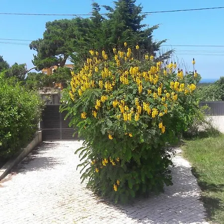 Farm stay Vintage Caravan Sintra